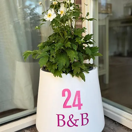 De Kleine Bongerd -the Little Orchard Frühstückspension 3*